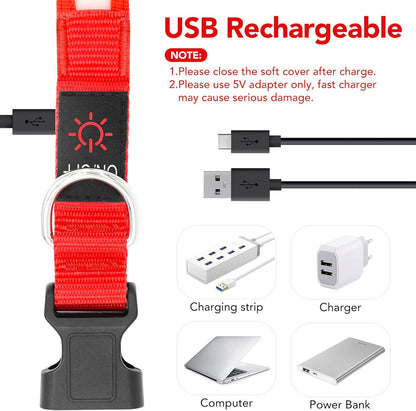Illuminate Your Night Walks with the Adjustable USB Rechargeable LED Dog Collar!