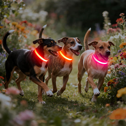 Illuminate Your Night Walks with the Adjustable USB Rechargeable LED Dog Collar!