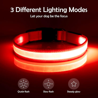 Illuminate Your Night Walks with the Adjustable USB Rechargeable LED Dog Collar!